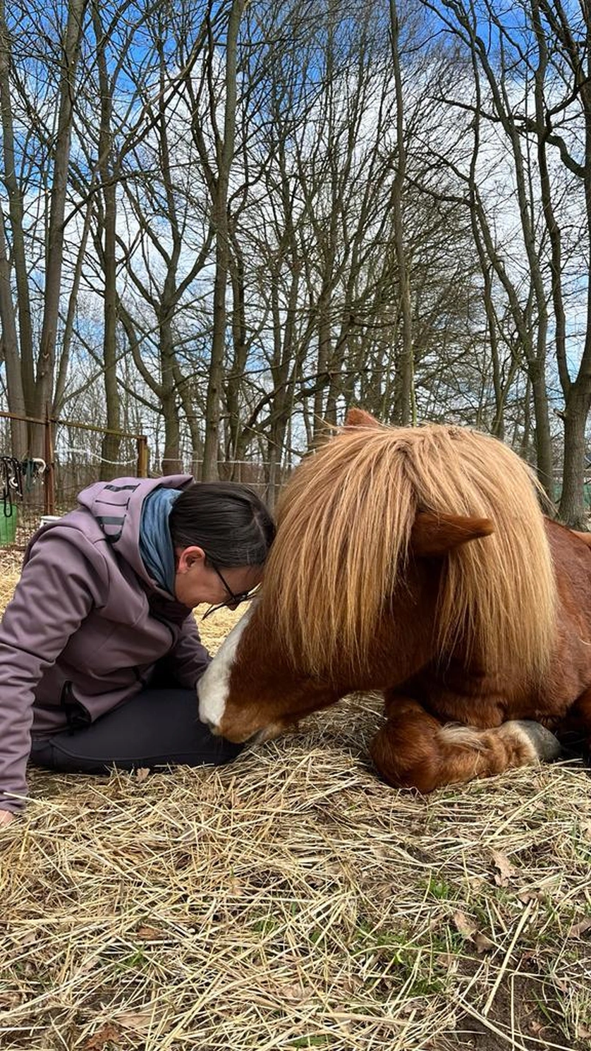 Frau auf einem Pferd